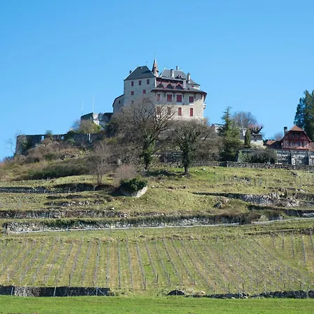& Annecy - Immoconciergerie * 芒通-圣贝尔纳